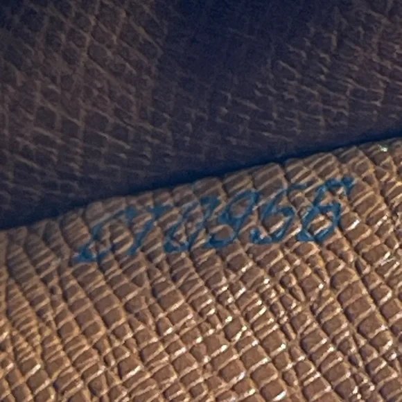 Louis Vuitton Monogram Brown Case